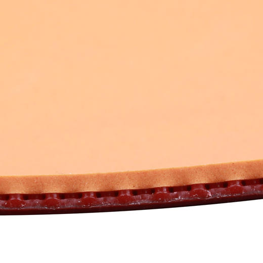 友谊729 奔腾II省套系列 粘性反胶套胶 商品图4