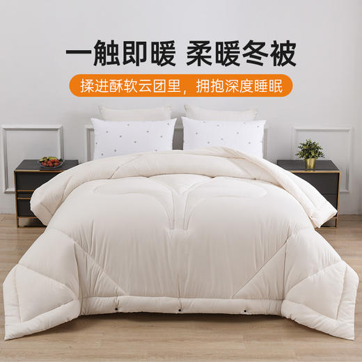 雅芳婷冬季柔暖冬被被子冬天加厚保暖秋冬被芯冬被床品 商品图0