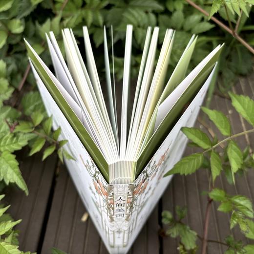 《人间美词》| 武大教授王新才诚意之作 深度解读多首唯美小词 商品图2