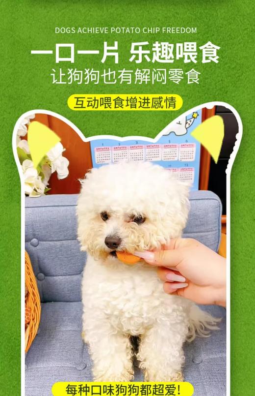 【有意思的薯片】鲜牛肉宠物薯片磨牙奖励训练犬猫通用（非油炸） 商品图2