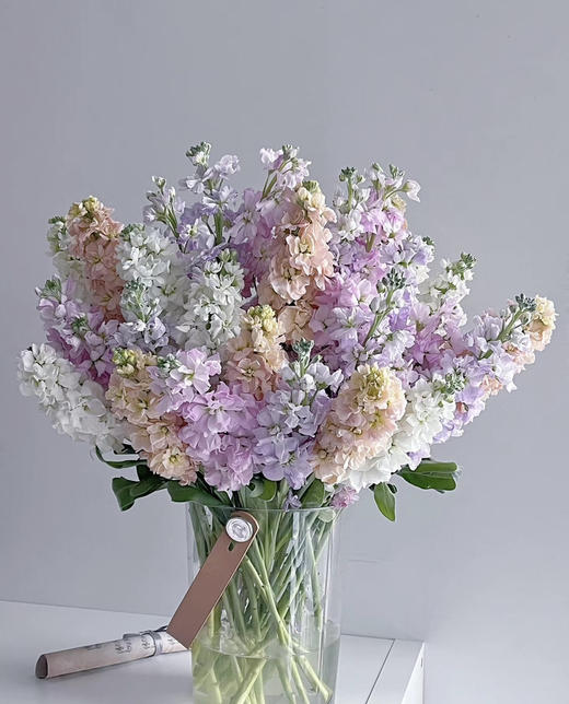 【永恒的爱】紫罗兰（多色可选）约10支/扎 商品图0