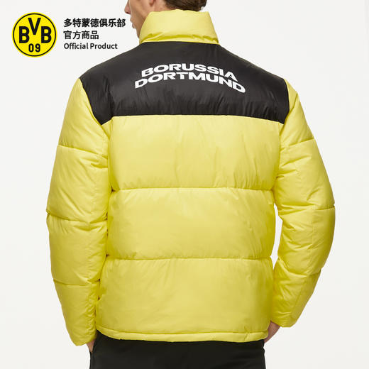 【官方正版】多特蒙德足球俱乐部 | 黄色棉服立领短款简约时尚秋冬保暖球迷用品 商品图2
