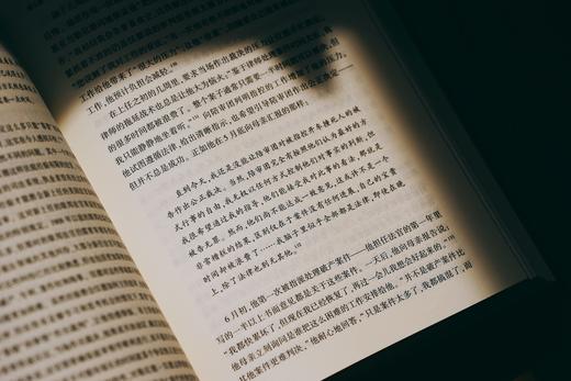 非签名本丨《汉德传：传奇法官和他的裁判》丨麦读译丛 商品图13