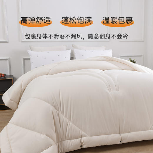 雅芳婷冬季柔暖冬被被子冬天加厚保暖秋冬被芯冬被床品 商品图3