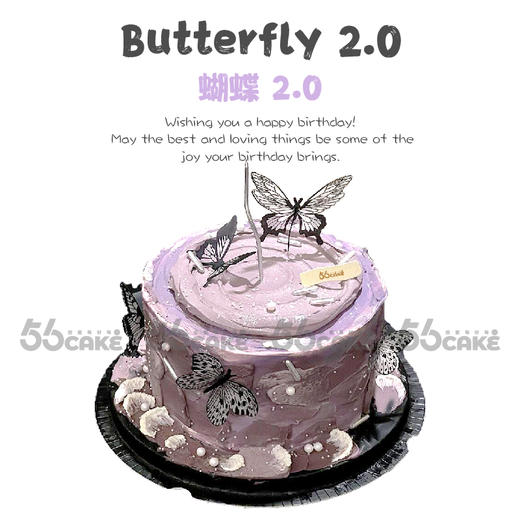 蝴蝶 2.0 商品图0