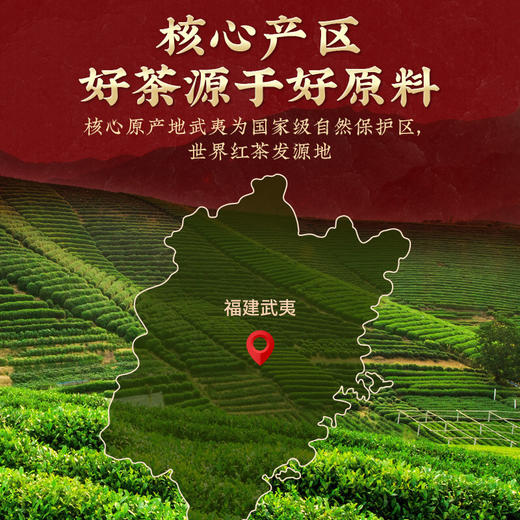 【武夷岩茶 】茶马世家 大红袍茶叶罐装125g 商品图4