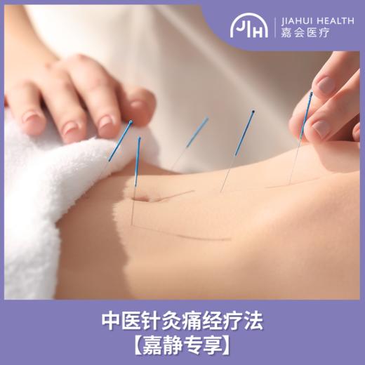 【嘉静专享】中医针灸痛经疗法 商品图0