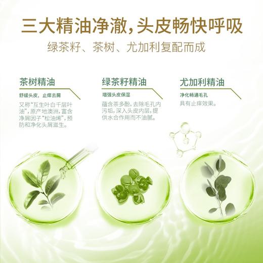 舒蕾绿茶籽控油去屑洗发露500ml 商品图1