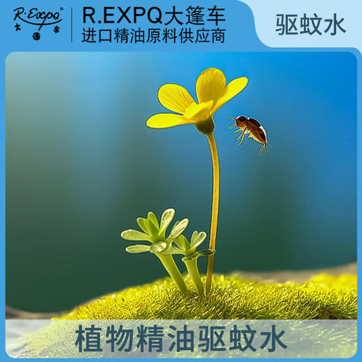 植物精油驱蚊水宝宝可用户外防蚊喷雾儿童驱蚊水植物花露水神器 商品图0