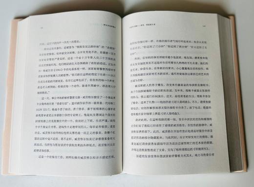 纯粹·  野百合也有春天   李舫/著 商品图6