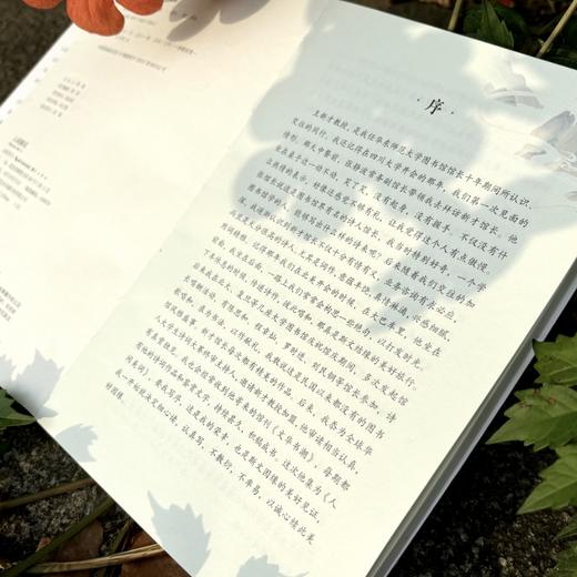 《人间美词》| 武大教授王新才诚意之作 深度解读多首唯美小词 商品图5