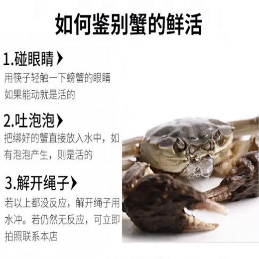 阳澄湖大闸蟹—8只（公4.0两4只/母3.0两4只）礼盒 商品图2