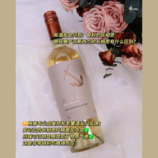 柑橘芭乐奶油冰 | 智利卡萨布兰卡谷 | 安可拉特级珍藏长相思干白葡萄酒 ANCLA Gran Reserva Sauvignon Blanc 2020 商品图5
