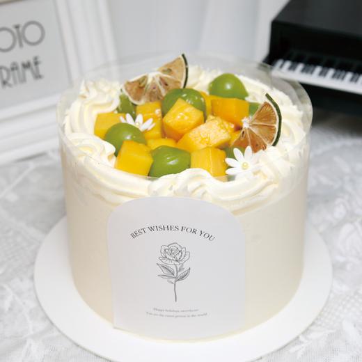 加高款丨仲夏物语（水果蛋糕） 商品图0