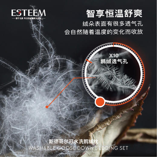 斯德哥尔可水洗鹅绒枕 商品图2