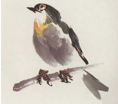  【国画教程】红嘴相思鸟的画法步骤 