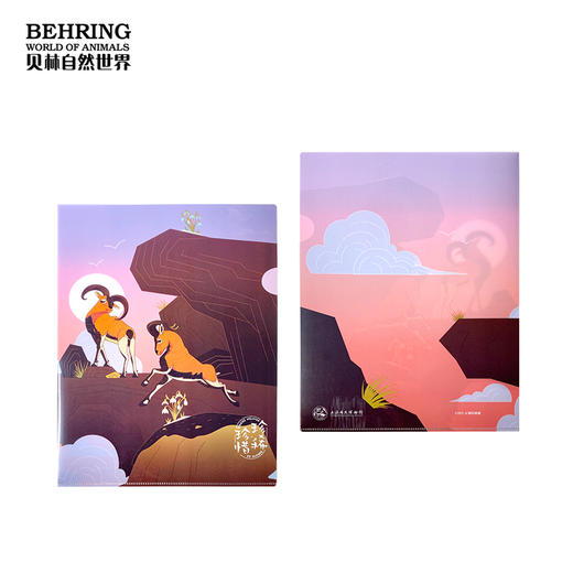 上海自然博物馆-珍惜珍稀（文件夹） 商品图3