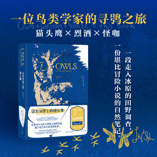 乔纳森·斯拉特《远东冰原上的猫头鹰》 商品图0