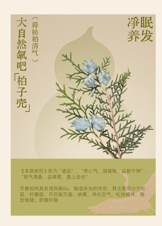 真不二艾虎宝枕单盒装赠桃花丹香囊1盒 商品图3