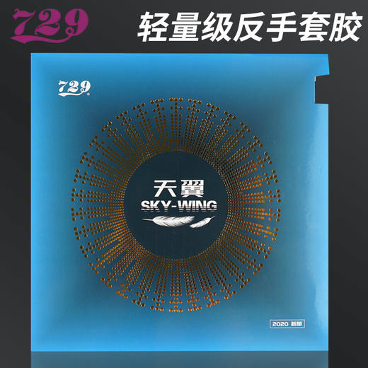 友谊729 天翼套胶 乒乓球拍胶皮反胶 商品图0