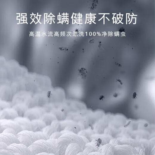 西门子（SIEMENS）全自动洗衣机10公斤家用大容量一级能效滚筒洗衣机 15分钟快洗大件洗除螨智能除渍湖韵蓝 无际系列 智能除污渍科技防过敏WB25GLU10W 商品图5