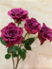 精品花材多头蓝莓玫瑰花10支 商品缩略图3