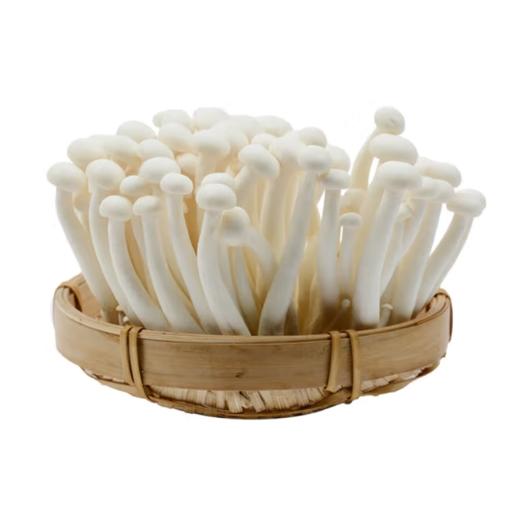 【亚欧超市】白玉菇125g±30g 商品图0