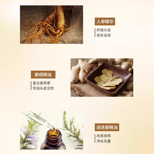 舒蕾参姜洗发露500ml 商品图3
