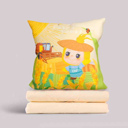 经典】短毛绒抱枕被/抱枕 面料舒适 耐洗耐用 商品图0