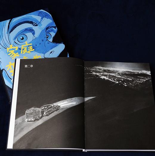 【特价漫画】家庭变奏曲（美）戴维·斯摩尔 编绘 商品图4