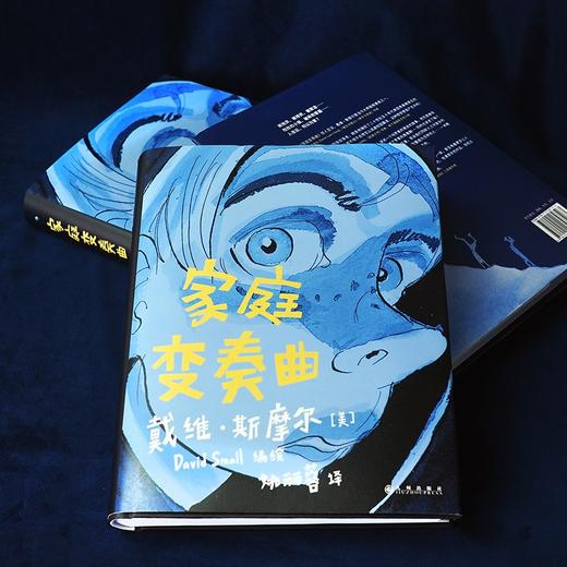 【特价漫画】家庭变奏曲（美）戴维·斯摩尔 编绘 商品图1