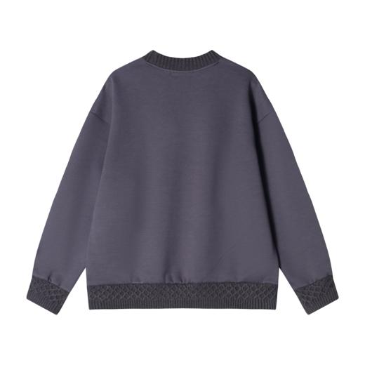 WY467秋冬新款男士韩版日系风格圆领校园风长袖宽松百搭卫衣日常穿搭 商品图4