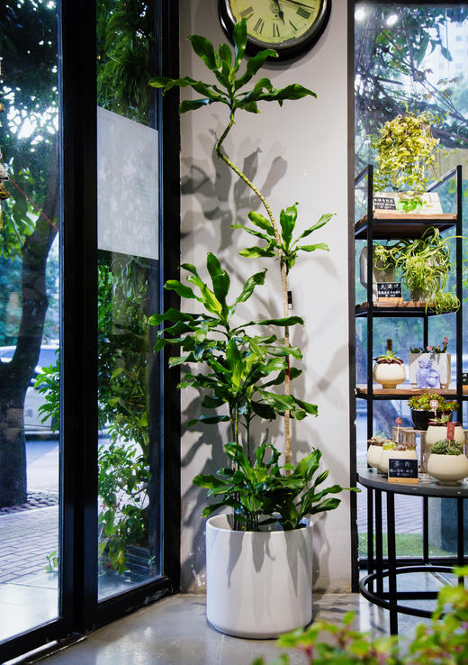 造型螺纹铁 商品图0