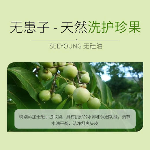滋源无患子控油清爽洗头水265ml 商品图3