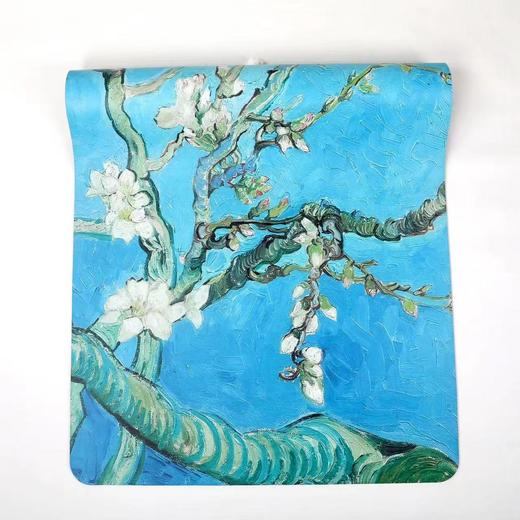 绝美！色彩艺术系列大师印记瑜伽垫橡胶垫 商品图4