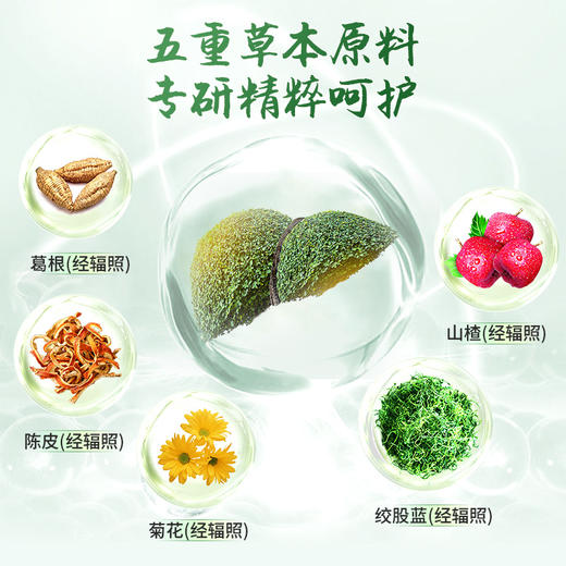 沐畅坊牌葛根绞股蓝茶 商品图1
