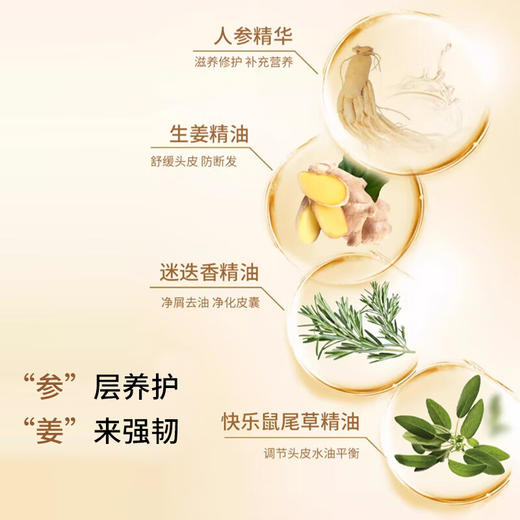 舒蕾参姜洗发露500ml 商品图1