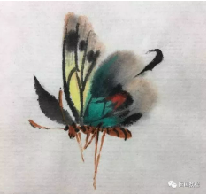  【国画教程】写意蝴蝶的画法 