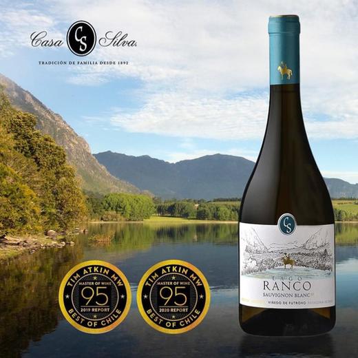 TA年度长相思！3个95高分年份 玺瓦庄朗湖之畔长相思 Casa Silva Lago Ranco Sauvignon Blanc 2020 商品图1