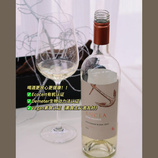 柑橘芭乐奶油冰 | 智利卡萨布兰卡谷 | 安可拉特级珍藏长相思干白葡萄酒 ANCLA Gran Reserva Sauvignon Blanc 2020 商品图3