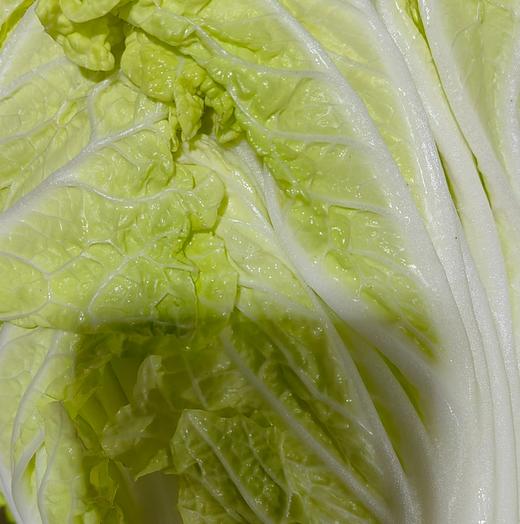 有机大白菜 甘甜可口 | 石嫣农场* Chinese Cabbage | Self-Produced 商品图3