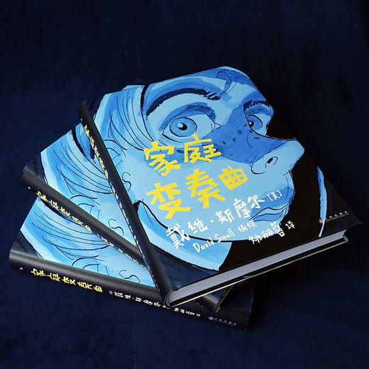 【特价漫画】家庭变奏曲（美）戴维·斯摩尔 编绘 商品图5