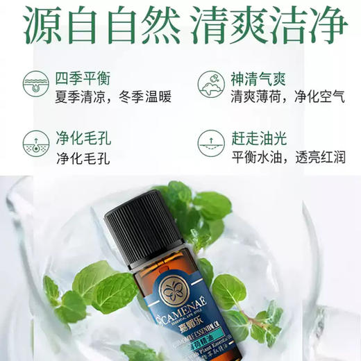 【双12大促】嘉媚乐薄荷精油  净化面部  香薰清洁皮肤 单方精油 商品图3