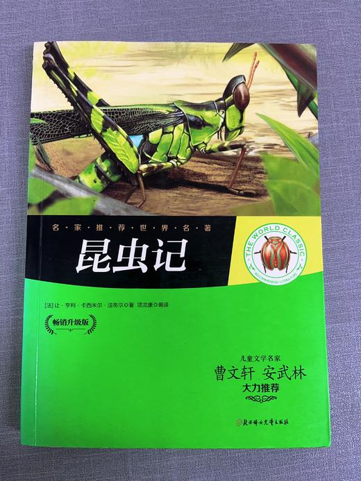 《昆虫记》畅销升级版 儿童文学家 安武林 曹文轩推荐 商品图5
