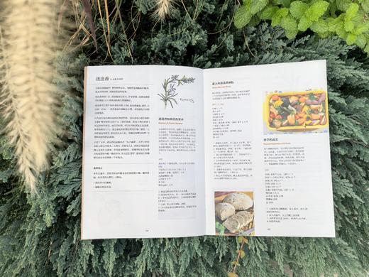 【花园时光专属】人生的花园——英国贵族凡妮莎奶奶的四季之庭 &2748 凡妮莎·斯坦利·史密斯 商品图4