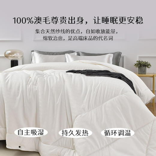 雅芳婷澳洲进口羊毛被纯羊毛冬被加厚保暖冬季羊毛被被芯被子冬被 商品图1