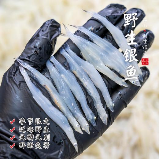 【闹妈海鲜】银鱼大号/中号 蒸蛋必备净重300g/盒 鲜冻发 商品图0