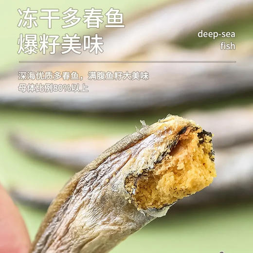 KiligCat猫零食小鱼干狗狗补钙增肥冻干多春鱼15g/袋 商品图3