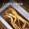 【源头自长白山脉！长白雪山林下参】每一根都是精挑细选，拒绝残参，高年足龄林下参，地道滋补更贴心，干人参礼盒装整枝泡酒L 商品缩略图1
