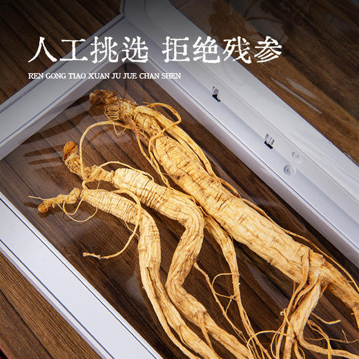 【源头自长白山脉！长白雪山林下参】每一根都是精挑细选，拒绝残参，高年足龄林下参，地道滋补更贴心，干人参礼盒装整枝泡酒L 商品图1